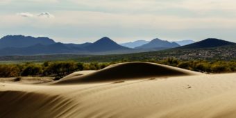 désert gobi en mongolie