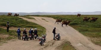 la mongolie en moto 