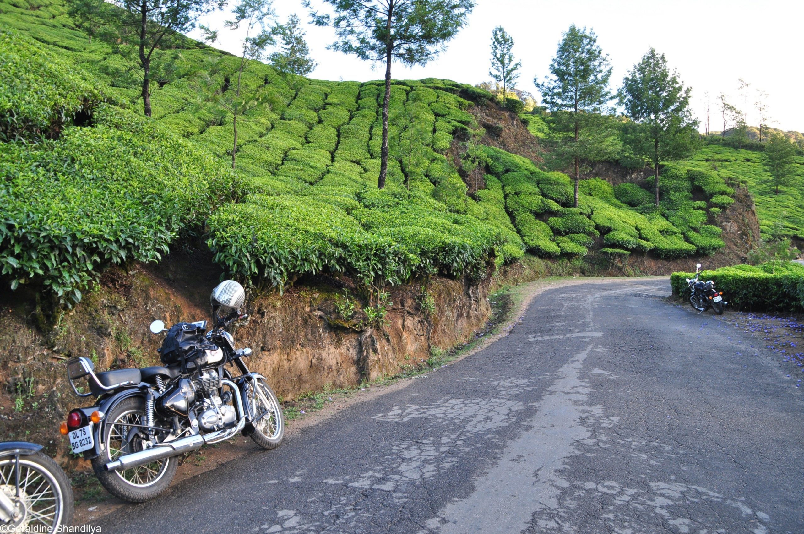 Road trip moto Inde / Inde du Sud - La Route des Epices